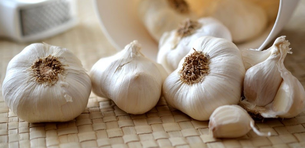 Garlic Foodhyme