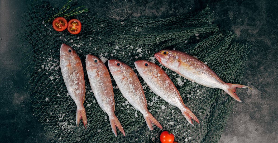 Fish Recipes Foodhyme