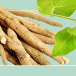 Ashwagandha Foodhyme